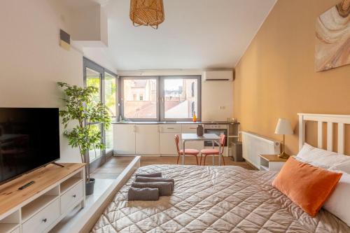 Rustic Central Studios by LH 1068 Budapest, 8 Felsőerdősor utca kép - 3