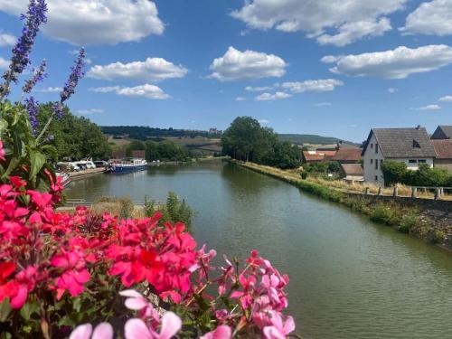 a view of a river with pink flowers at Le Relais in Vandenesse-en-Auxois