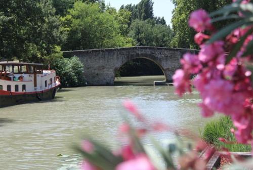 a bridge and a boat on a river with pink flowers at studio des lices Villesequelande in Villesequelande