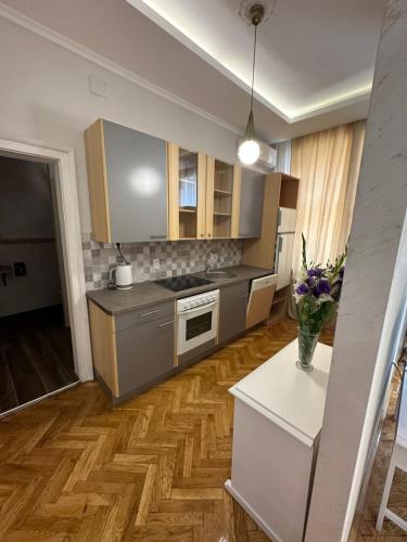 a kitchen with stainless steel appliances and wooden floors at Apartments & Room - Korzo in Sombor