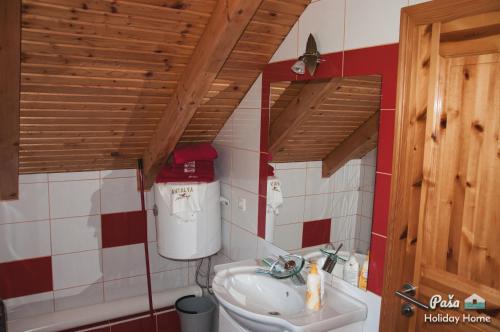 Holiday Home Paša في Zolaći: حمام صغير مع حوض ومرحاض