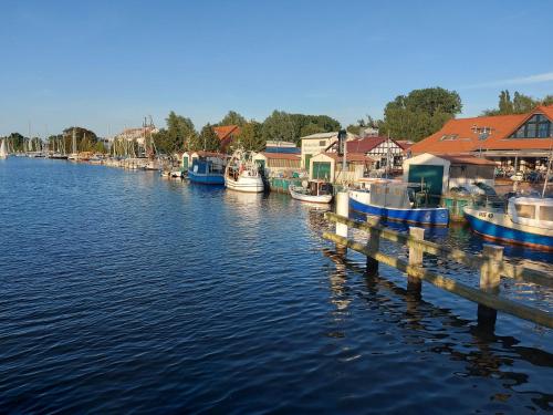 Hochwertiges Fischerhus mit Terrasse und Grill في غرايفسفالد: تجمع القوارب في النهر
