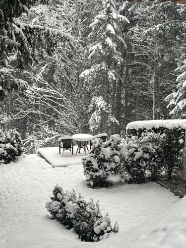 a snow covered garden with a picnic table in the snow at Haus Colorado am Gaisberg in Scheffau am Wilden Kaiser