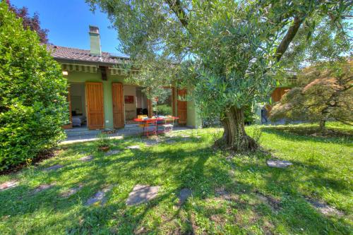 a house with a tree in the yard at Casa Oliva Garden and Relax - Happy Rentals in Laveno