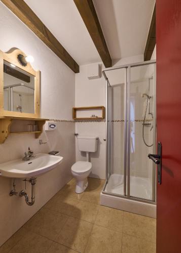 a bathroom with a shower and a toilet and a sink at Haus Tirol in Molini di Tures