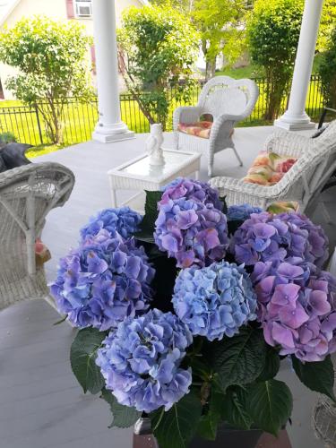 a bouquet of blue and purple flowers in a vase at Queens Chamber w King Heavenly Bed at Nottingham Place in Wise in Wise