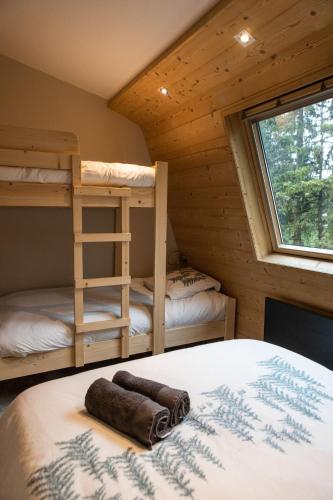 - une chambre avec 2 lits superposés dans une cabine dans l'établissement IMMODREAMS - L'ours polaire, à Morzine