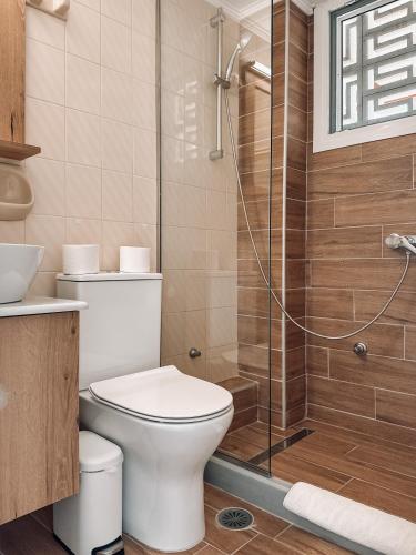 a bathroom with a toilet and a shower at The Mathraki Studios in Arillas