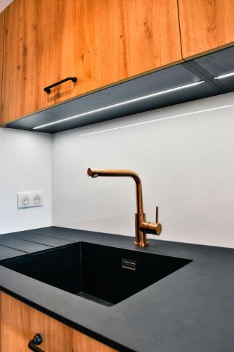 - un évier de cuisine avec un robinet en bronze sur un comptoir dans l'établissement IMMODREAMS - Les Dents Blanches, à Avoriaz