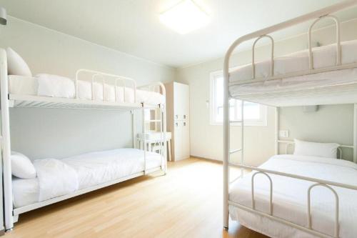 2 łóżka piętrowe w białym pokoju z drewnianą podłogą w obiekcie Uniqstay w Pusanie