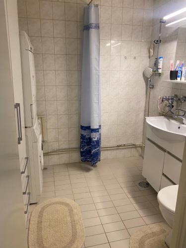 uma casa de banho com uma cortina de chuveiro e um lavatório em Apartment in Kotka em Kotka