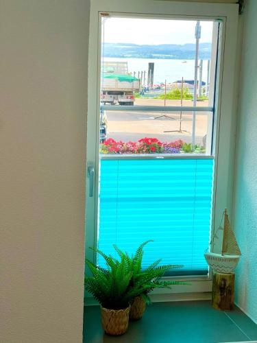 a window with a blue door and a plant at Ferienwohnung direkt am Bodensee / Untersee nahe Konstanz in Berlingen