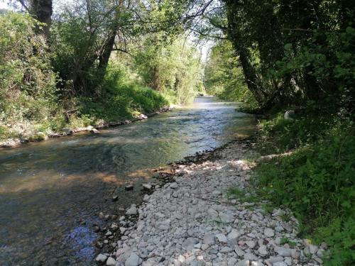 a river with rocks and trees on either side at Residenza Il Conte in Nocera Umbra