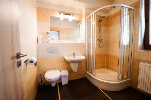a bathroom with a shower and a toilet and a sink at Hotel SLUNEČNÁ LOUKA in Lipno nad Vltavou