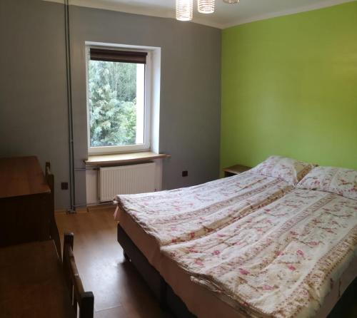 カルパチにあるWilla Skaleńのベッドルーム(ベッド1台、窓付)