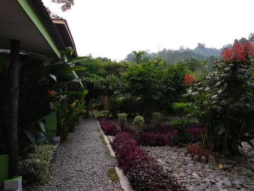 Κήπος έξω από το Jungle View Homestay & Guesthouse Only Stay Here Book Treking With Us