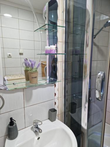 W łazience znajduje się umywalka oraz prysznic z lustrem. w obiekcie Guesthouse Irac w mieście Tuzla