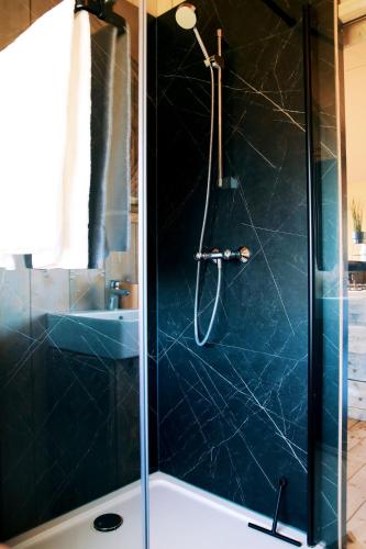a shower with a glass door in a bathroom at Luxury Lake Lodge in Alphen