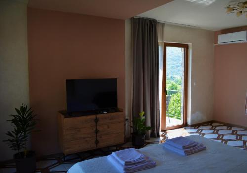 a bedroom with a bed and a television and a window at Markovic Winery and Estate apartments in Cetinje