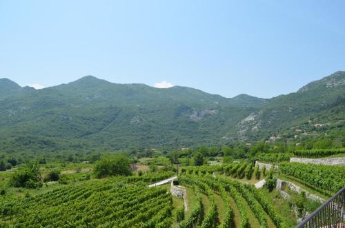 a view of a vineyard with mountains in the background at Markovic Winery and Estate apartments in Cetinje