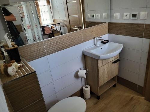 a bathroom with a sink and a toilet and a mirror at Chata FALCO Slovenský Raj in Hrabušice