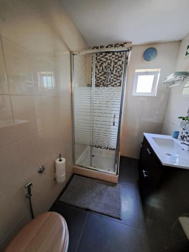 baño pequeño con ducha y lavamanos en Villa dos Patudos, en Faro