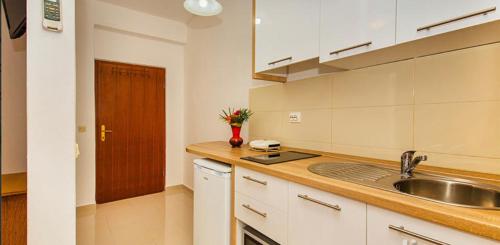 a kitchen with a sink and a counter top at Apartments & Rooms Tina Drazica in Zubovići