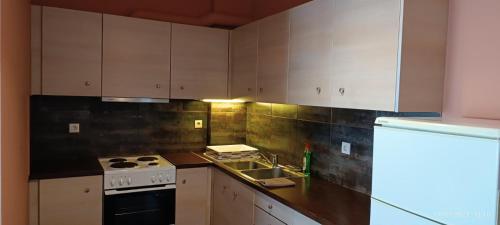 Kuchyň nebo kuchyňský kout v ubytování ERODIOS apartments