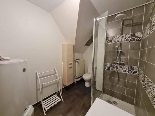 uma casa de banho com um chuveiro e um WC. em Gîte chez Gribouil 