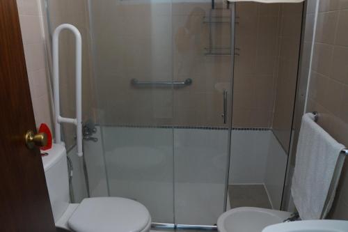 La salle de bains est pourvue d'une douche en verre et de toilettes. dans l'établissement Casa Ángeles Los Llanos de Aridane, à Los Llanos de Aridane