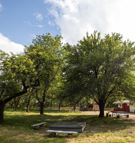 Zahrada ubytování Kolorowe Zacisze