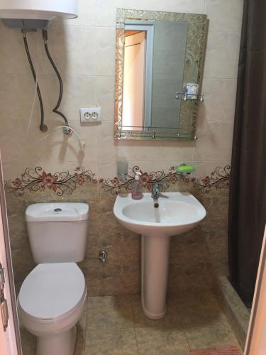 ein Badezimmer mit einem WC, einem Waschbecken und einem Spiegel in der Unterkunft Sunset Krikhi in Ambrolauri