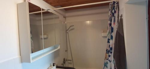 a bathroom with a shower and a mirror at Ferienwohnung Bienenbeute in Ebenweiler