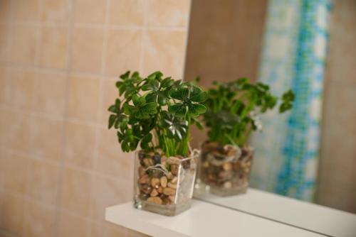 two potted plants sitting on a shelf in a bathroom at Carla House in Vidolm