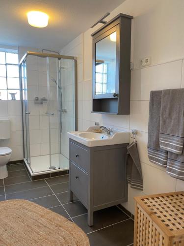 a bathroom with a sink and a shower at Ferienwohnung am Schmetterlingssteig in Trendelburg
