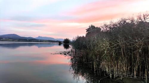 a view of a lake at sunset at Glamping Wallersee - Unter dem Kastanienbaum in Helming