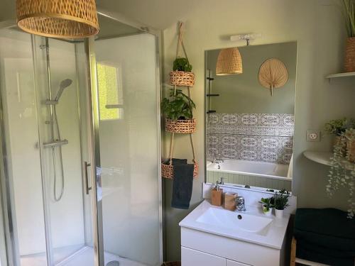 une salle de bain avec douche et lavabo dans l'établissement Le Clos des Bambous, à Saint-Martin-lez-Tatinghem