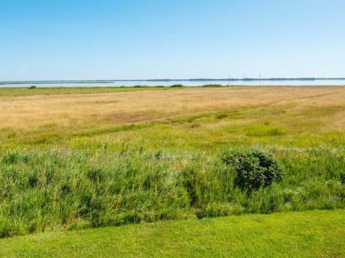 a field of grass with a bush in the middle at 8 person holiday home in Ulfborg in Thorsminde