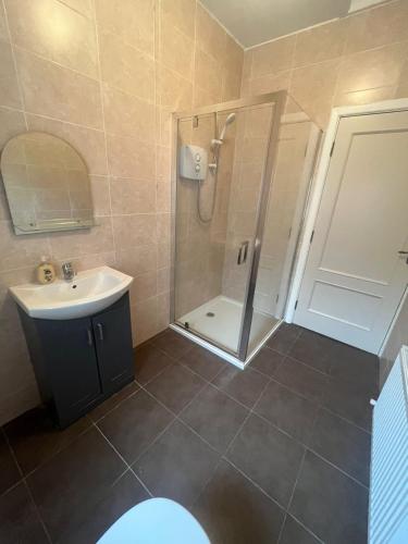 a bathroom with a shower and a sink at Yeats Lodge Self catering Apartment and Bar in Galway