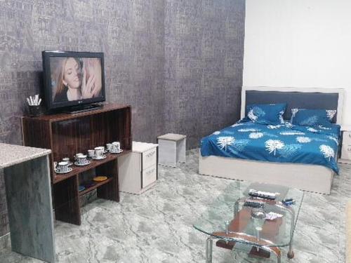 un soggiorno con letto e TV di Milena Hotel a Yerevan