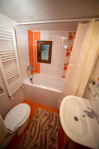 a bathroom with a toilet and a tub and a sink at Cabana Tatiana in Avrămeşti