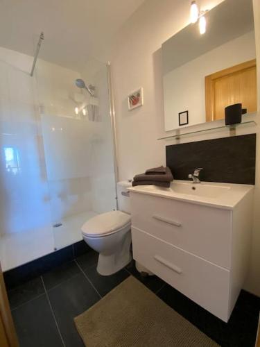 une salle de bain avec toilettes, lavabo et douche dans l'établissement Mone - La Maison Racine 1 - Duplex avec terrasse, à Avignon