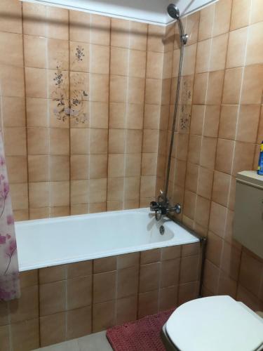 een badkamer met een bad en een toilet bij Apartamento Viana in Viana do Castelo