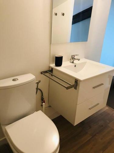 une salle de bain avec des toilettes blanches et un lavabo dans l'établissement Marie - La Maison Racine 2 - Joli duplex sous les toits, à Avignon