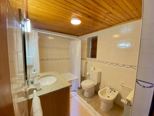 uma casa de banho com um WC e um lavatório em Quinta das Uchas em São Pedro do Sul