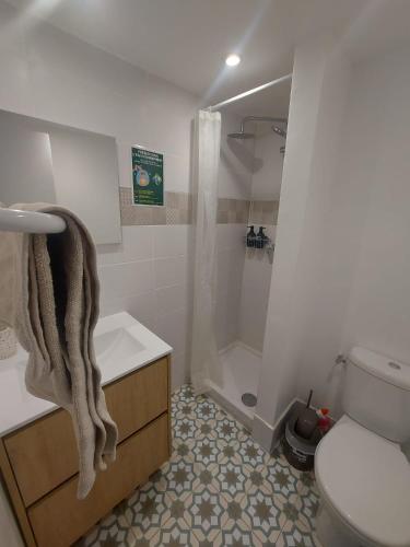 une salle de bain avec une douche, des toilettes et un lavabo dans l'établissement Le Albrand - Joliette - St Charles - Vieux Port, à Marseille