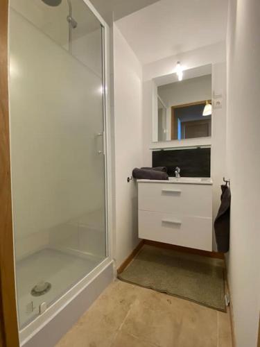 une salle de bain avec une douche, un lavabo et un miroir dans l'établissement Marion - La Maison Racine 3 -Charmant studio au cœur du CV, à Avignon