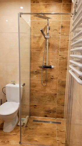 a shower stall with a toilet in a bathroom at Agroturystyka Kasprzykówka in Kąty