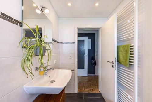 a bathroom with a sink and a potted plant at Baumelt Ferienwohnung in Hechingen