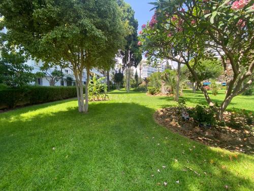 Cris House, Arroyo de la Miel photo 14